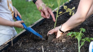 ilustrační foto zdroj město Ústí nad Orlicí
