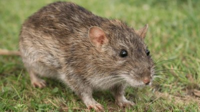 foto zdroj Město Chrudim