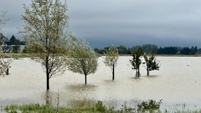 Letošní povodně budou z hlediska reálných pojištěných škod podle všeho třetí nejhorší živelní pohromou v historii ČR