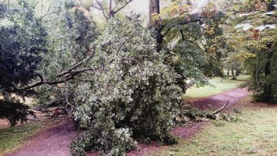 Tyto parky v Pardubicích jsou kvůli podmáčené půdě a hrozícímu nebezpečí padajících stromů tento víkend zavřené