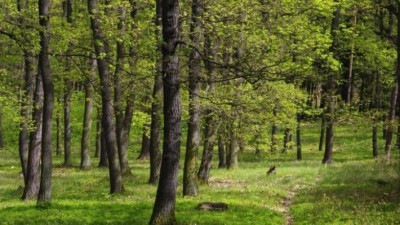 foto: Statutární město Pardubice