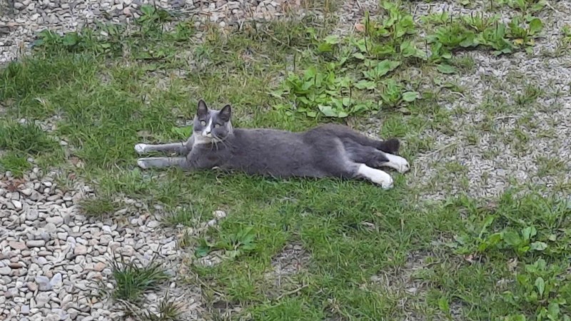 ilustrační foto zdroj e-deníky