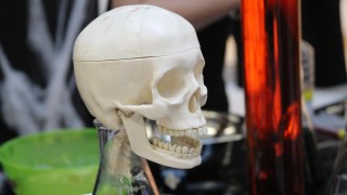 Hallowennské tipy na víkend: Strašidelná Fabrika, Smrt festival, noční bojovka, čarodějnické procesy i dlabání dýní