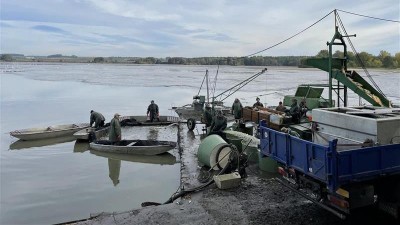 Chystá se výlov ryb v Bohdanečském rybníku. Bude spojen s Loučení s ptáky