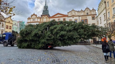 Foto: Městská policie Pardubice