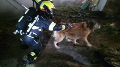 Hasiči zachr&aacute;nili psa z hoř&iacute;c&iacute; chaty v Chrudimi