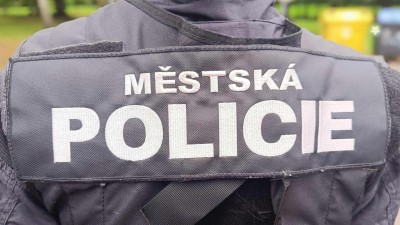 ilustračn&iacute; foto zdroj Městsk&aacute; policie Pardubice