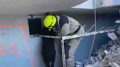 Čeští hasiči v Turecku se svými psy prohledávali dva zřícené obytné domy, kde mělo být zavaleno 50 osob
