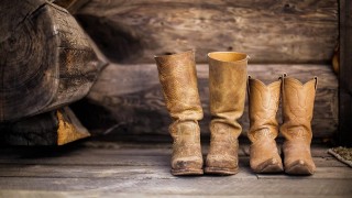 ilustrační fotografie