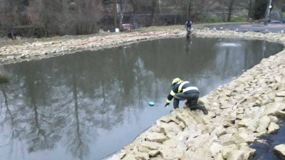 V obci Dlouhá Loučka byla celá sádka ryb v ohrožení. Potok, co vtéká do chovného rybníka, byl kontaminován