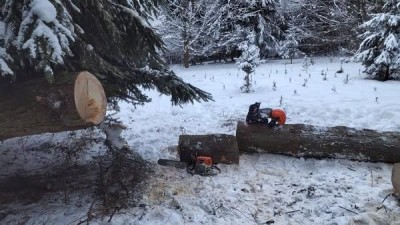 Na muže spadl ve Výprachticích strom. Z nepřístupného terénu ho museli vynést hasiči