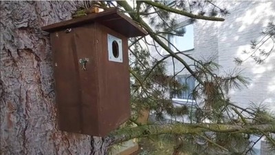 VIDEO: Na sídlištích v České Třebové byly nainstalovány nové ptačí budky