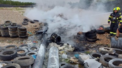 Kočka vlezla do motoru, strom ohrožoval dopravu, chytla skládka odpadu