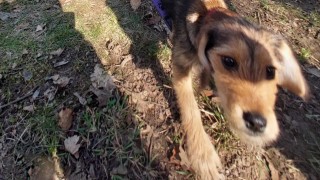 foto zdroj Městsk&aacute; policie Pardubice