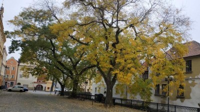 foto zdroj Město Pardubice