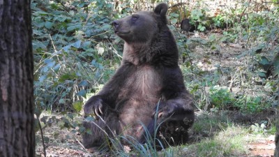 ilustračn&iacute; foto zdroj e-den&iacute;ky