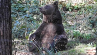 ilustračn&iacute; foto zdroj e-den&iacute;ky