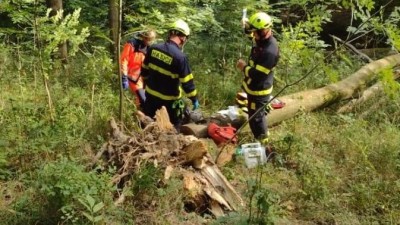 Na muže spadl strom, hasiči ho museli ven vyřezat