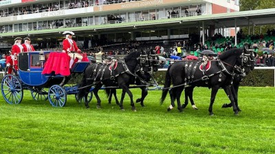 Na Velké pardubické nechyběli ani starokladrubští vraníci a běloušové