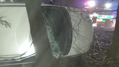 Auto se u Dolní Čermné převrátilo na bok a opřelo o strom