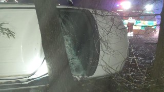 Auto se u Dolní Čermné převrátilo na bok a opřelo o strom