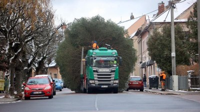 VIDEO: Vánoční strom doputoval do Ústí nad Orlicí. Městu ho daroval soukromý majitel