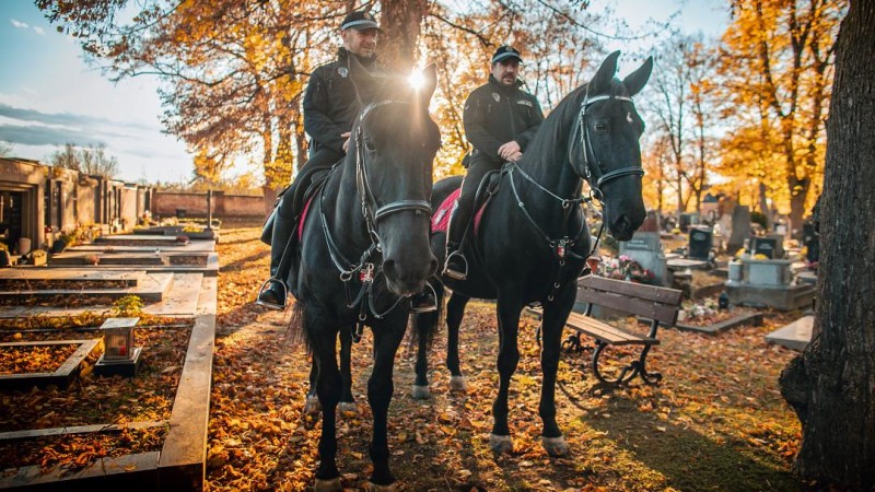 foto zdroj Městská policie Pardubice