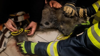 foto HZS Pardubický kraj