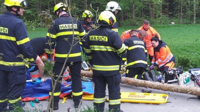 Tragická nehoda v Chrasti - během větrného dne na vozovku spadl strom, usmrtil jednu osobu
