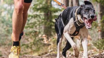 foto zdroj Město Pardubice - carnilove.cz