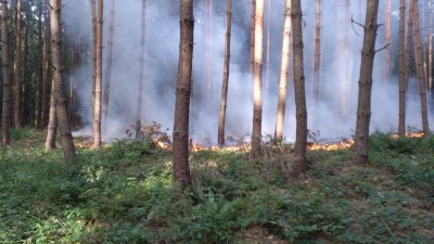 Srna uvízla v kovové bráně, hořel les a vzňal se kombajn