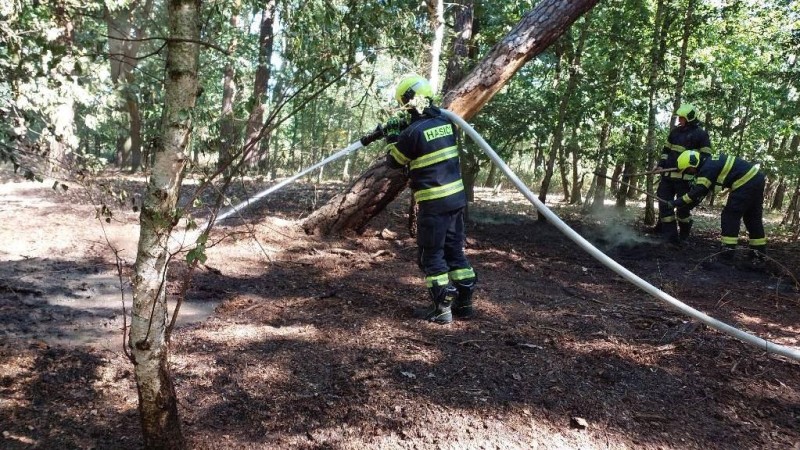 Požár porostu v Trnové, foto HZS Pardubický kraj