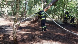 Požár porostu v Trnové, foto HZS Pardubický kraj