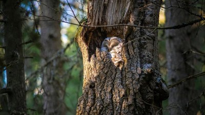 foto zdroj Pardubick&yacute; kraj