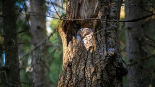 foto zdroj Pardubick&yacute; kraj