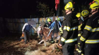 Starý kůň se nemohl postavit na nohy, pomohli mu hasiči