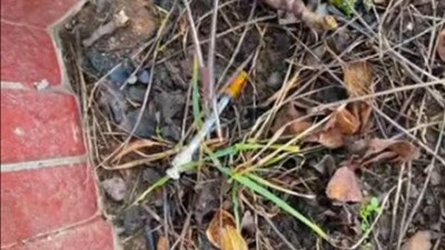 T&eacute;měř každ&yacute; den str&aacute;žn&iacute;ci nach&aacute;zej&iacute; použitou stř&iacute;kačku na ulic&iacute;ch či tr&aacute;vn&iacute;c&iacute;ch v Pardubic&iacute;ch