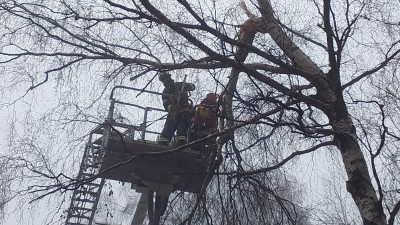 Zlomen&aacute; větev stromu nad silnic&iacute; u Poličky ohrožovala proj&iacute;žděj&iacute;c&iacute; auta