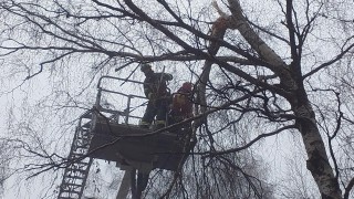 Zlomená větev stromu nad silnicí u Poličky ohrožovala projíždějící auta