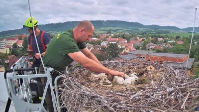 foto: Záchranná stanice a ekocentrum Pasíčka