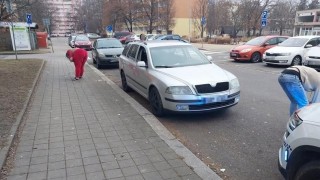 foto Městská policie Pardubice