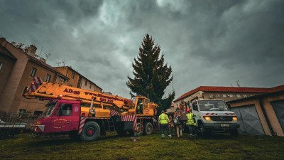 Vánoce klepou na dveře, Pernštýnské náměstí ode dneška bude zdobit tento strom