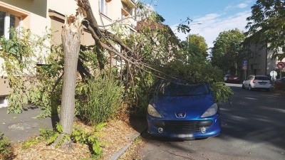 Foukalo i v krajském městě, městem látaly desky padaly stromy a seniorce se kvůli zdraví  a silnému větru obtížně dýchalo