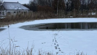 Hasiči zachraňovali psa z Duhového jezera