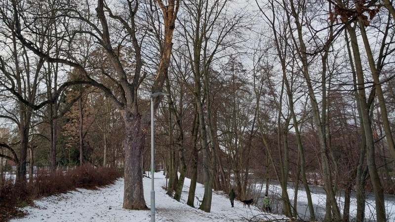 foto zdroj Městsk&aacute; policie Pardubice