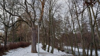 foto zdroj Městsk&aacute; policie Pardubice