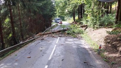 Kvůli vichru hasiči tasili motorové pily. Stromy padaly na silnici, železnici i elektrické vedení, hořela tráva a bouralo se