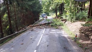 spadlý strom v Hejnicích foto zdroj HZS Pardubický kraj