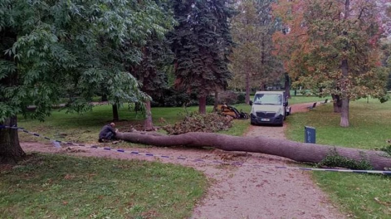 Foto: Statutární město Pardubice 