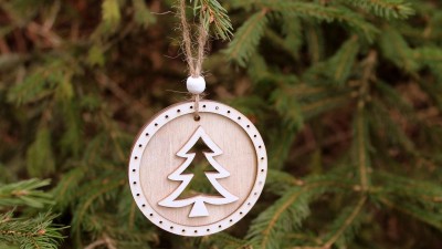 „Vánoční stromky dětem“ aneb Projekt zastřešující doručení stromečků na potřebná místa po celé České republice